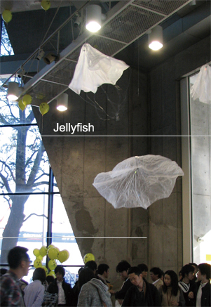 jellyfish_sakuragi1.jpg
