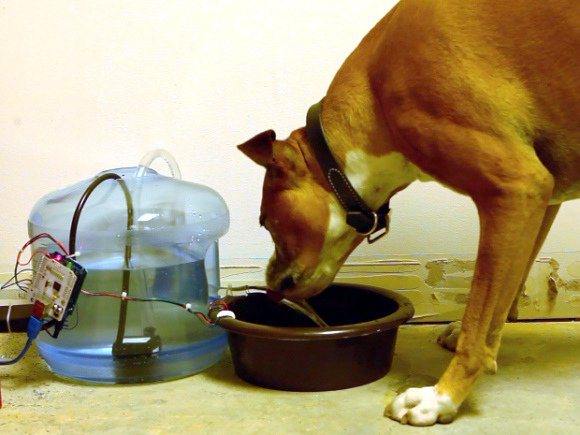 Eloy Salinas’ Pet Water Warden keeps pets water topped off while the owners are away or busy. The system uses two dip probes (sensors) that are connected to an Arduino, which monitor water levels and engage a pump when levels are low, drawing water from a reservoir to refill the bowl.