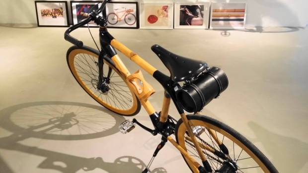 10286814 643691639044067 5246067071428959933 o DIY Bamboo Bike