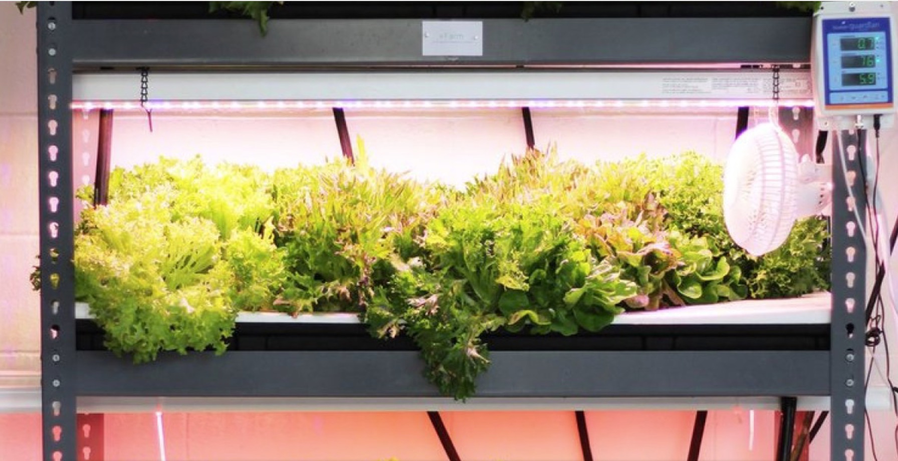 edible-innovations-going-vertical-smart-way-farm