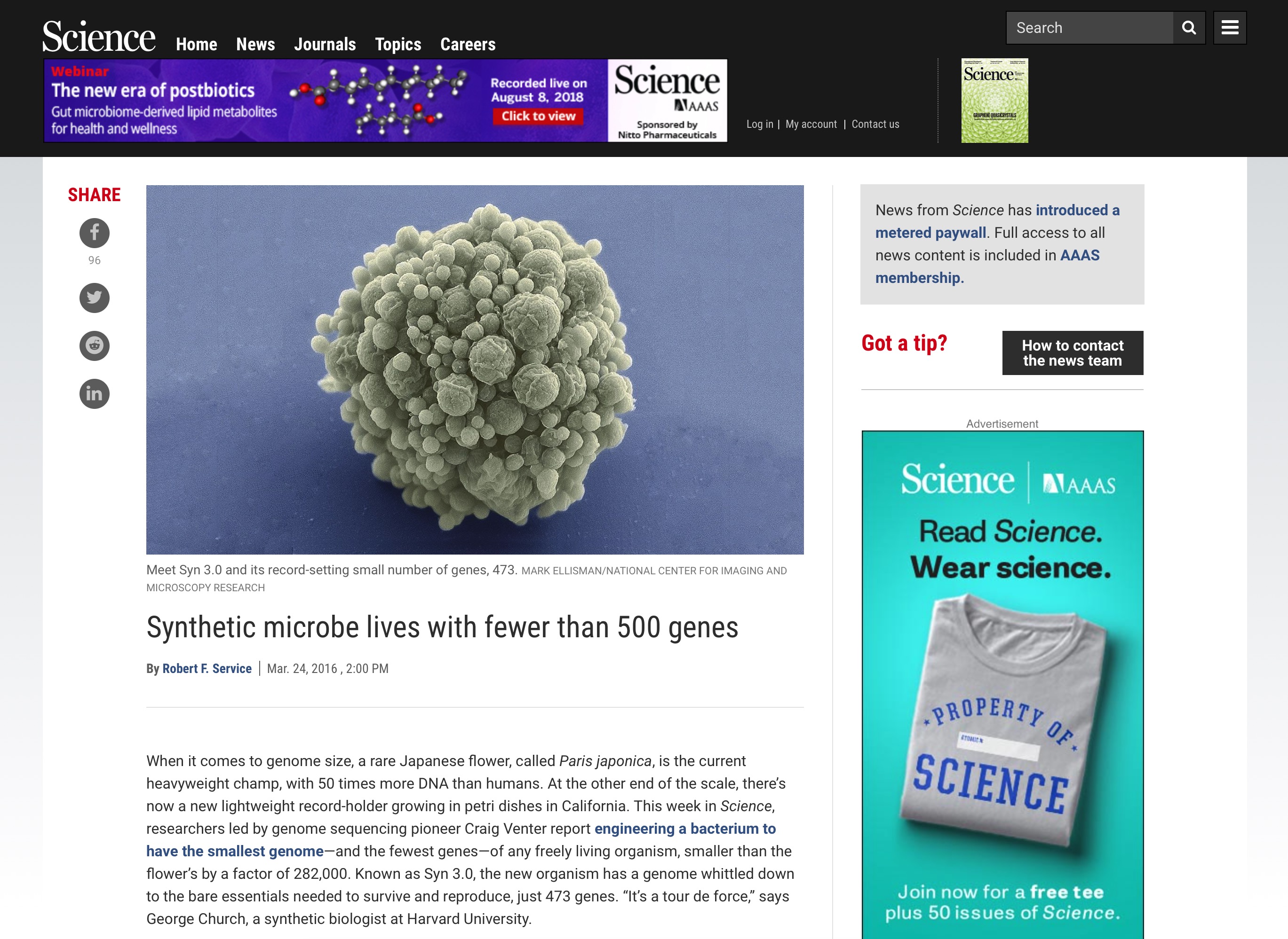 synthetic-microbe-lives-fewer-500-genes
