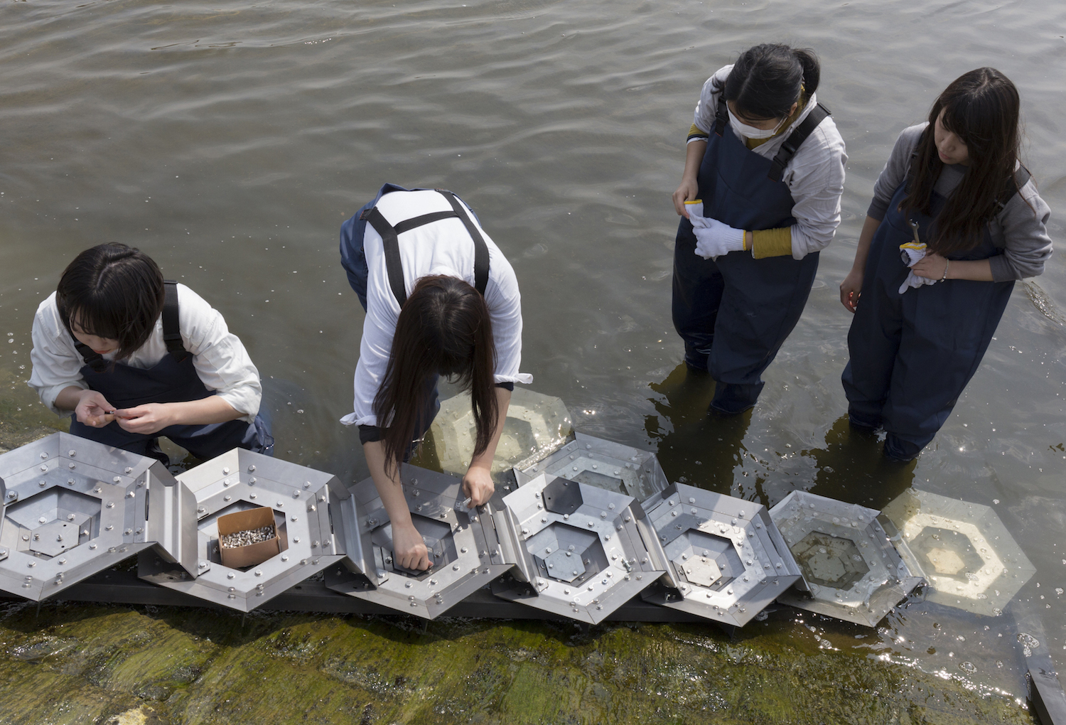 成安造形大学「魚道アートプロジェクト」