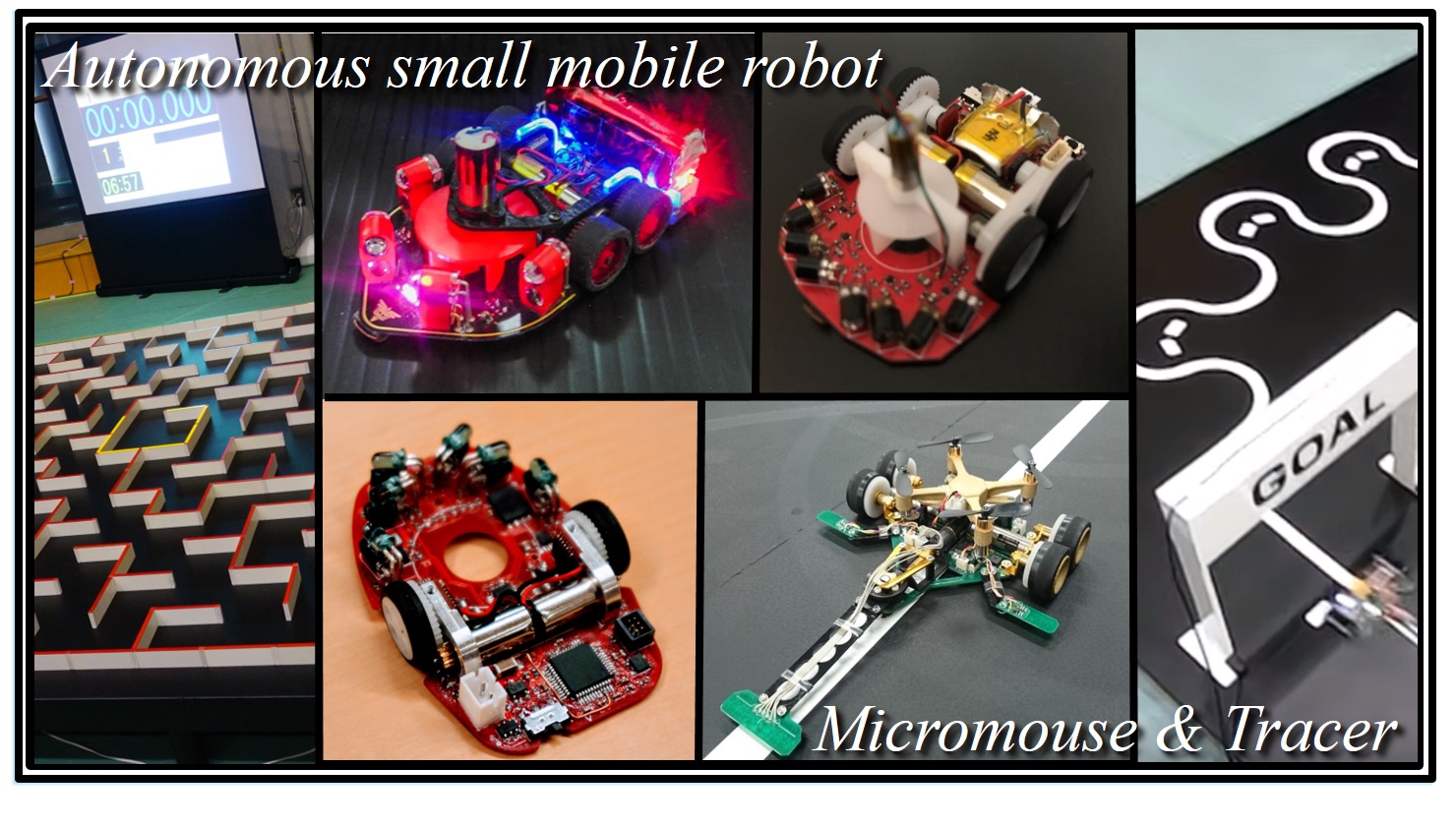 Micro Robot Racer's