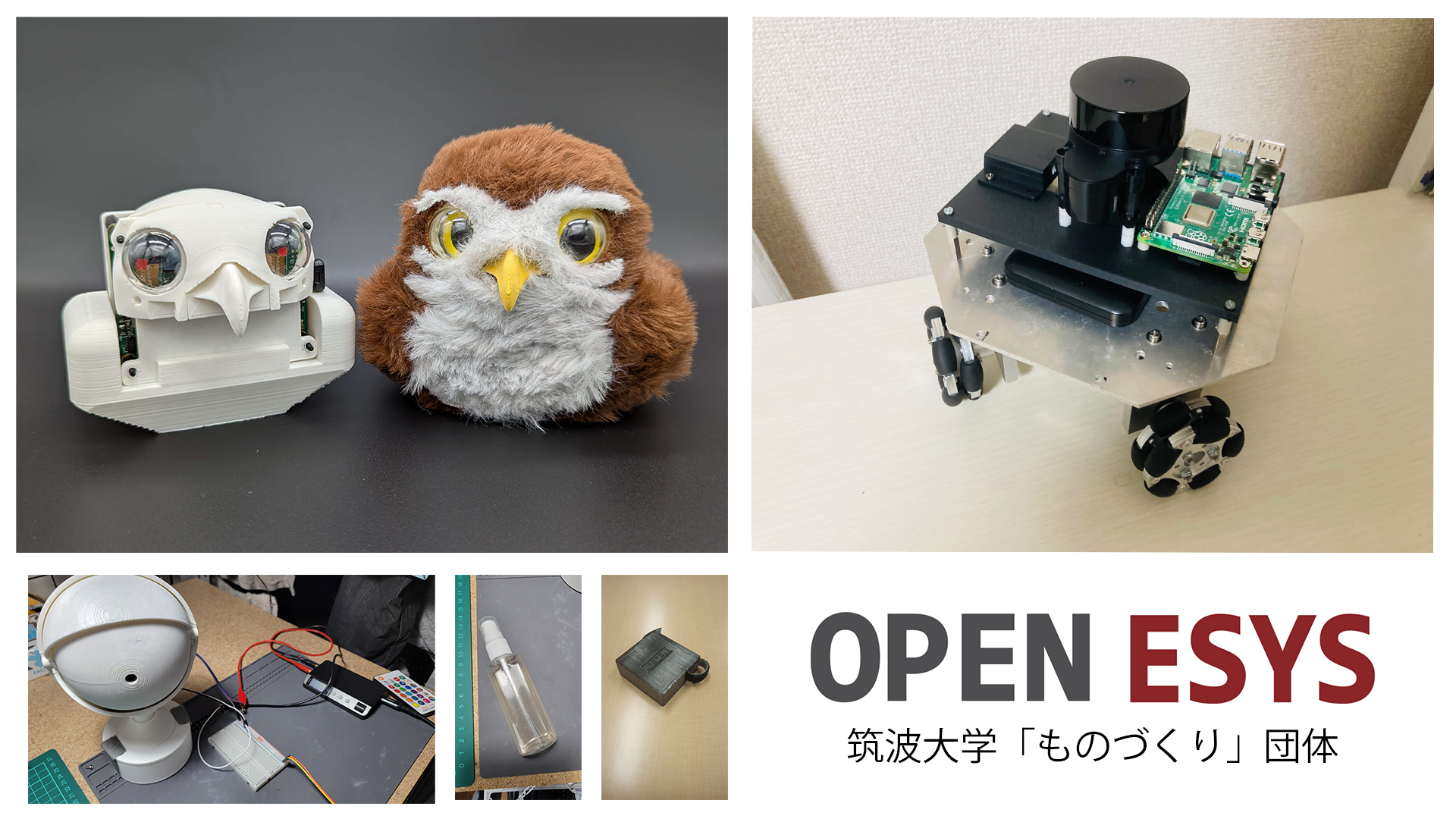 筑波大学 OpenEsys