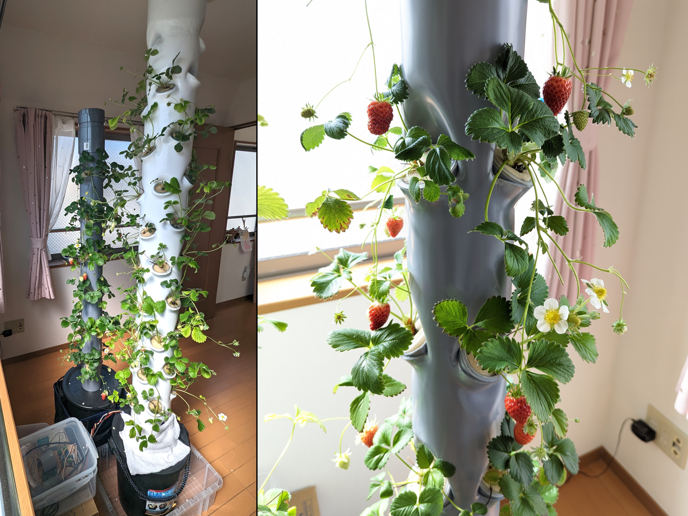 Plant Factory Project
