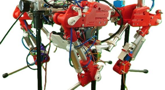 RABBOT LABORATORY