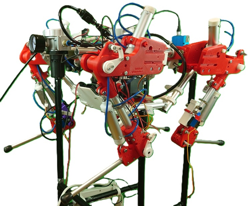 RABBOT LABORATORY