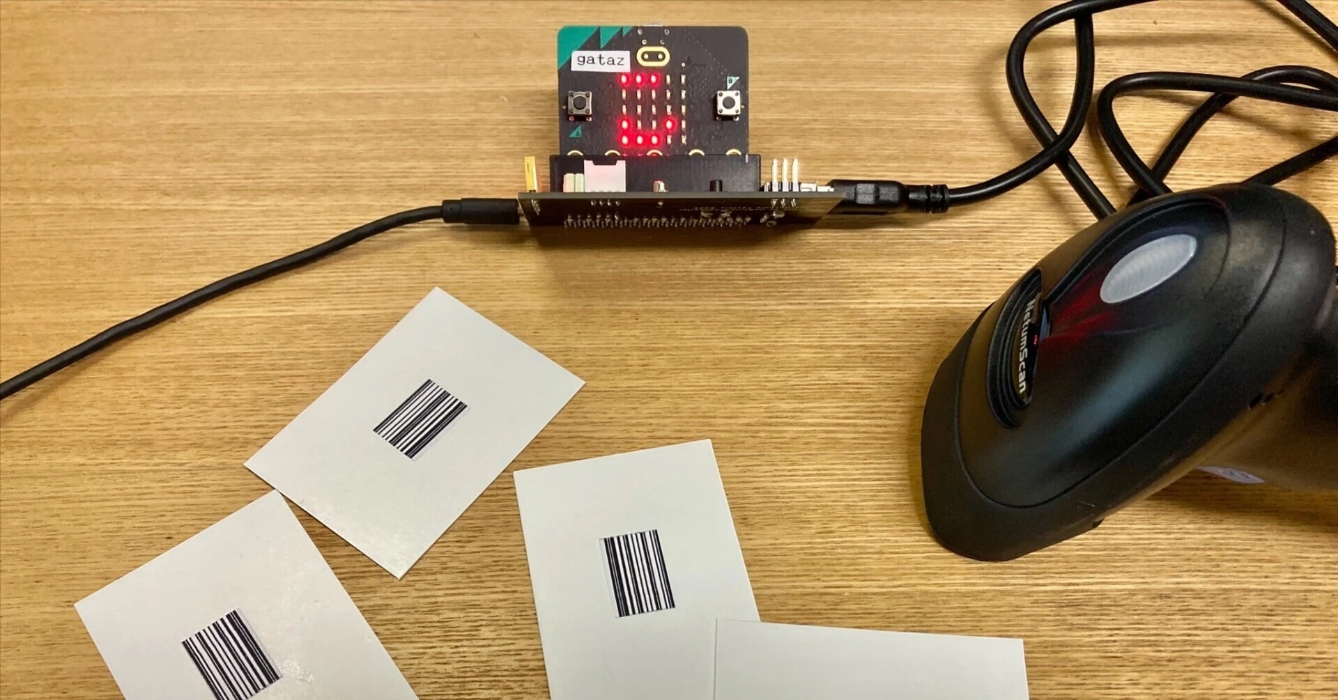 micro:bit champions & friends
