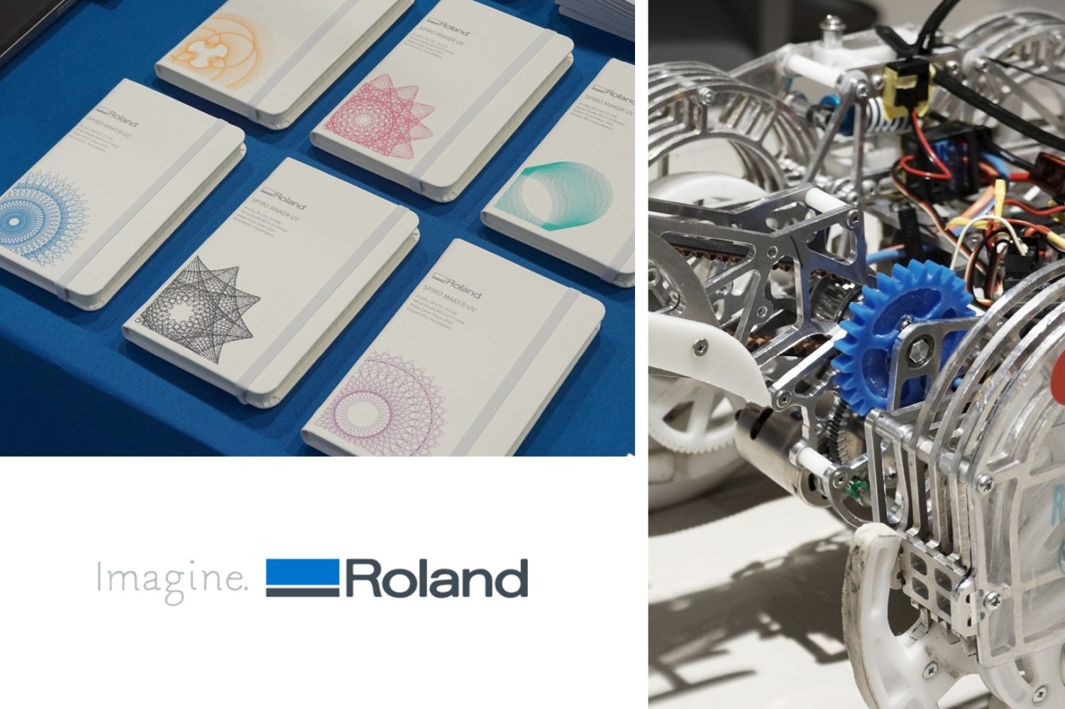 ローランド ディー.ジー.株式会社