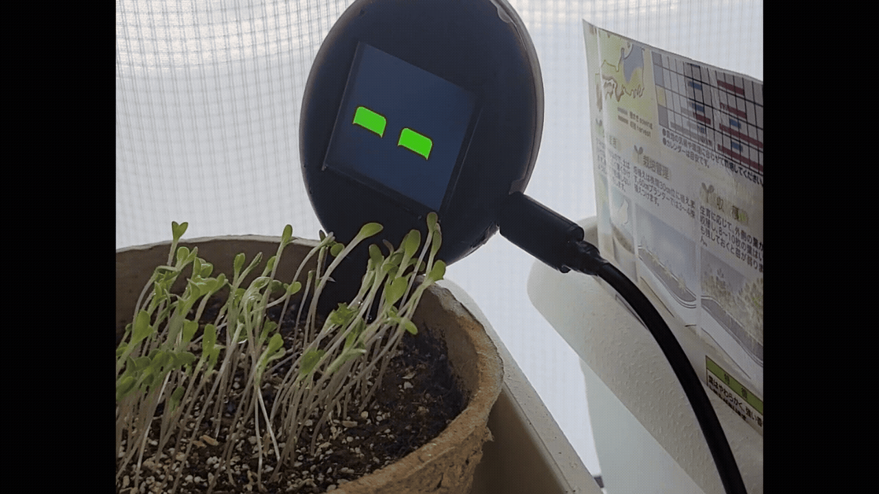 株式会社ライトカフェ