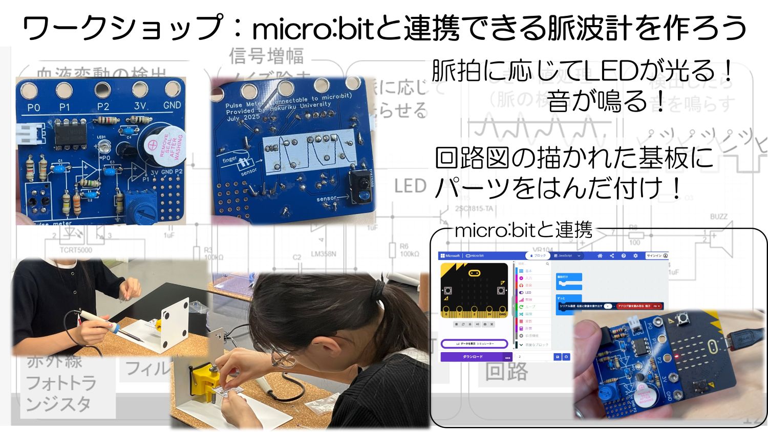 北陸大学　服部研究室