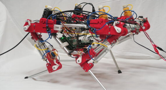 RABBOT LABORATORY