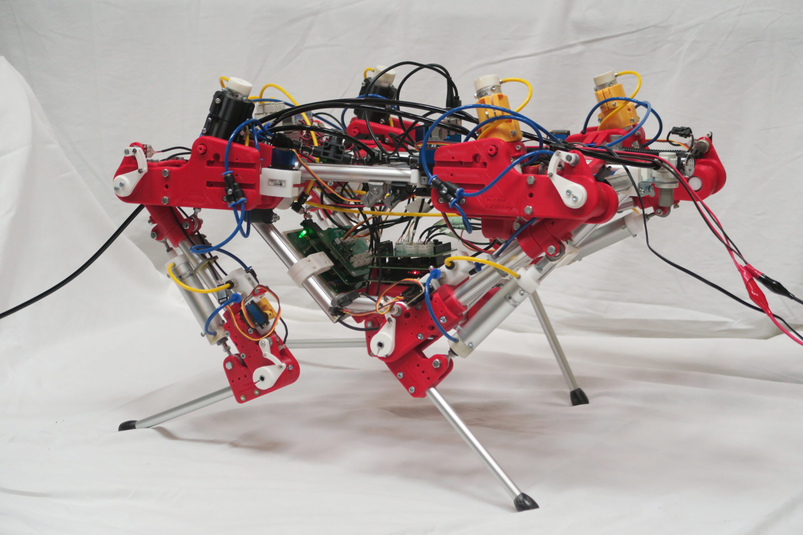 RABBOT LABORATORY