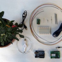 HOW TO – 植物が電話を掛けてきて「水をくれ」と話すシステム