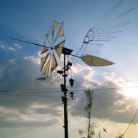 風に向かって羽ばたく風魅鳥