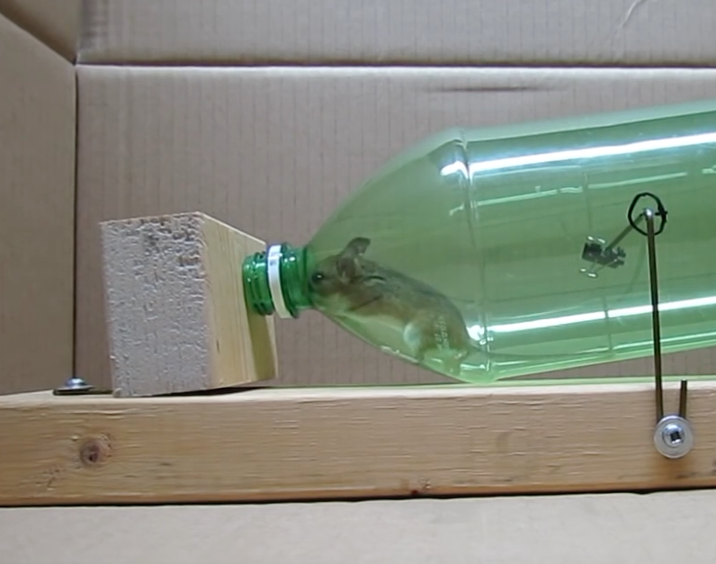 Make Japan ペットボトルで作る人道的なネズミ捕り