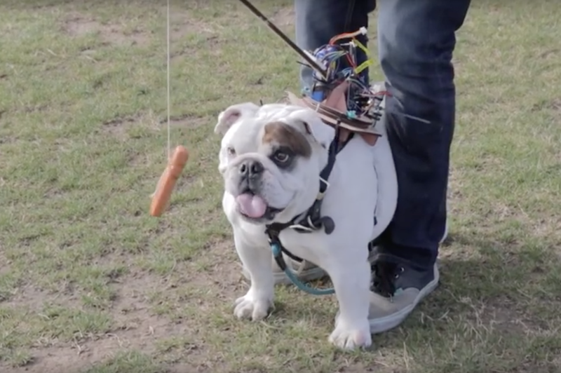 Make Japan Arduinoドライブのソーセージで犬をハック