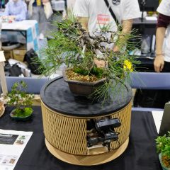 「Maker Faire Kyoto 2024」会場レポート：盆栽IoTに空気圧フリップフロップ回路に自作アニマトロニクスにQRコード対応賽銭箱など、奇想天外な展示に溢れた京都 #MFKyoto2024